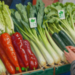 Tips-Memilih-Sayuran-Organik-vs-Non-Organik-Mana-yang-Wajib-Dibeli